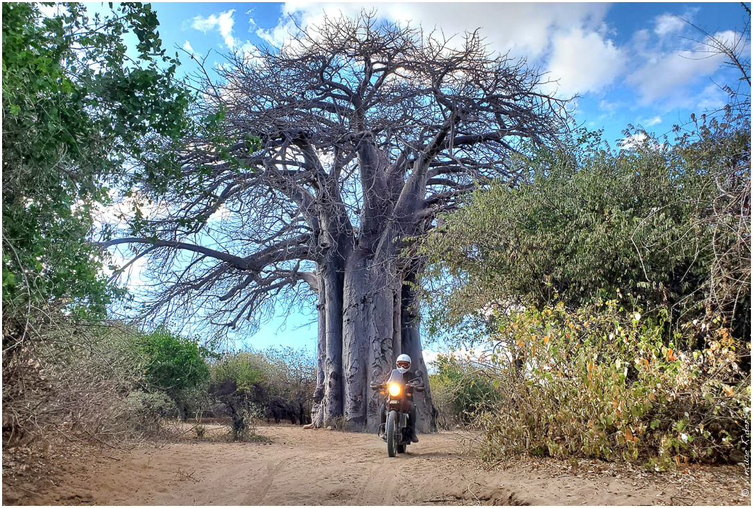 2022 07 Tanzanie 316 (1)